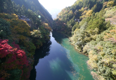 サイクリング同好会 「奥多摩」の写真