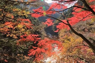 自然に囲まれての在宅勤務@奥多摩