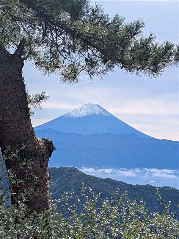 山梨への日帰り社員旅行へ行ってきました